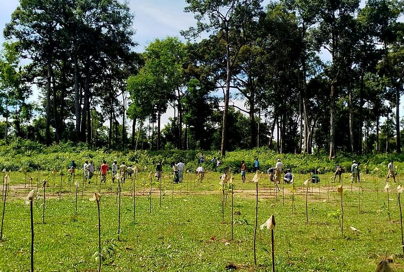 চট্টগ্রাম মহাসড়কের পাশে চকরিয়ার ফাঁসিয়াখালীর সংরক্ষিত বনের ১ হেক্টর জায়গা দখল করে প্লট আকারে বিক্রি হচ্ছিল। গতকাল বনের জায়গাটি  উদ্ধার করে ২ হাজার চারাগাছ রোপণ করেন বনকর্মীরা। গতকাল বিকালে